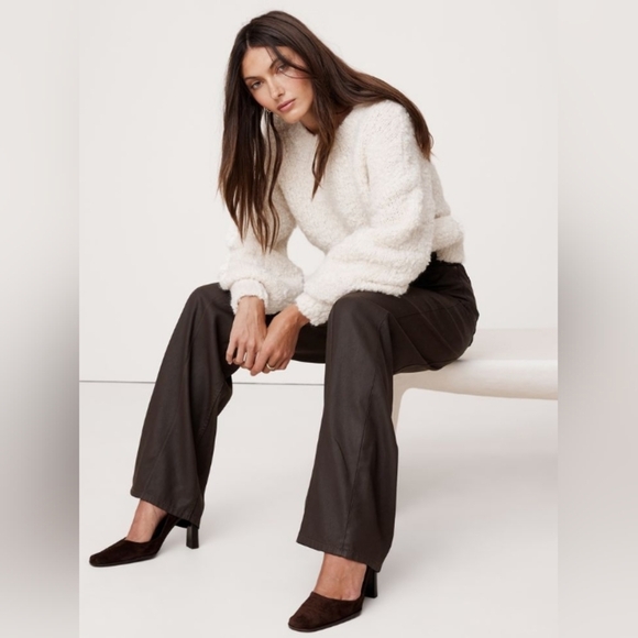 Banana Republic Chocolate Ganache The Coated Denim Pintuck Jean Size 27 Wide Leg - Picture 3 of 11